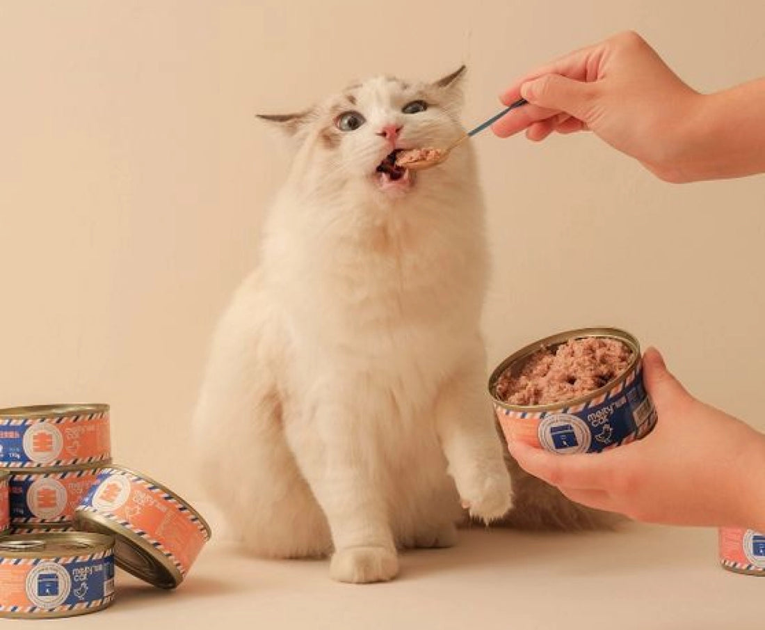 Homemade Treats Your Pet Will Love