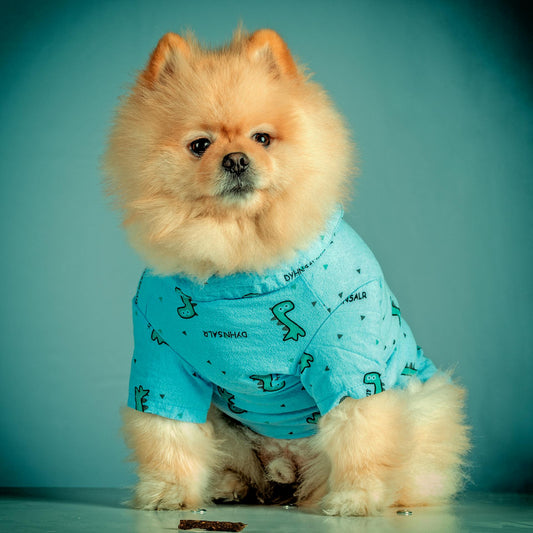 Simple Swaps for an Eco-Friendly Pet Ownership