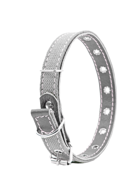 Adjustable Cat Collar