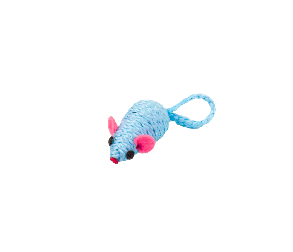 Mouse Chase Toy