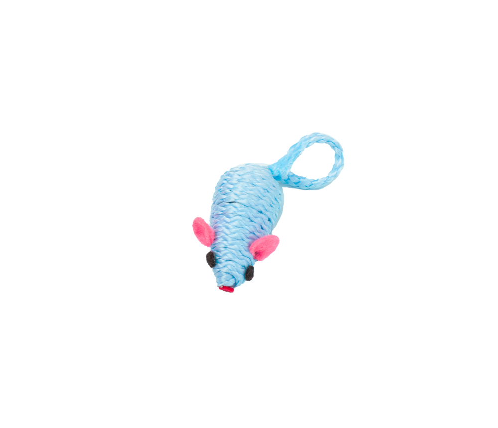 Mouse Chase Toy
