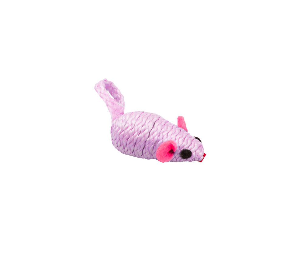Mouse Chase Toy
