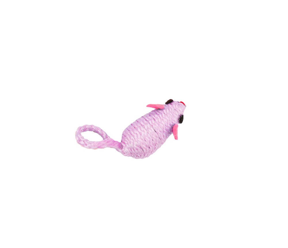 Mouse Chase Toy