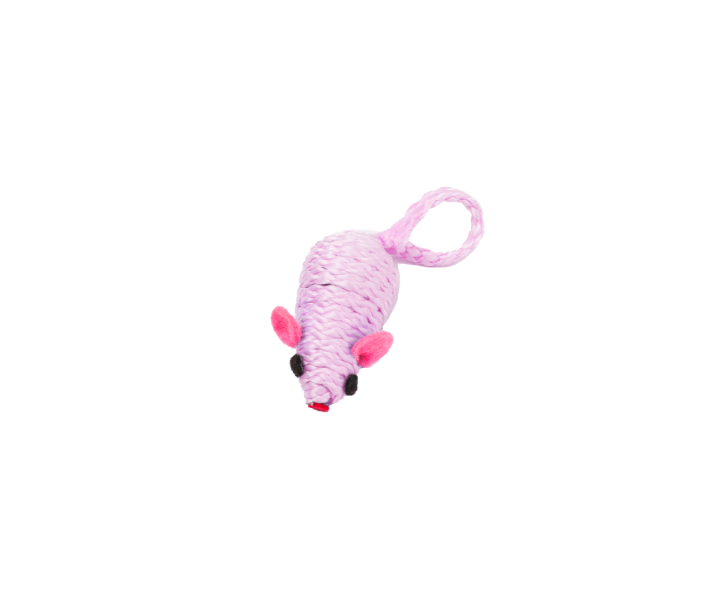 Mouse Chase Toy