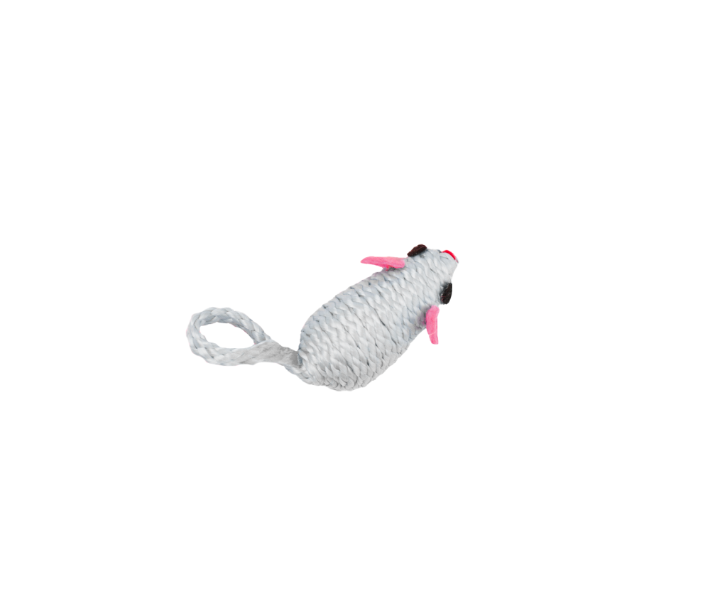 Mouse Chase Toy