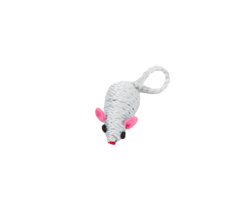 Mouse Chase Toy