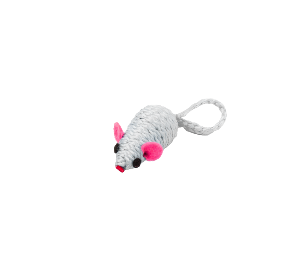 Mouse Chase Toy
