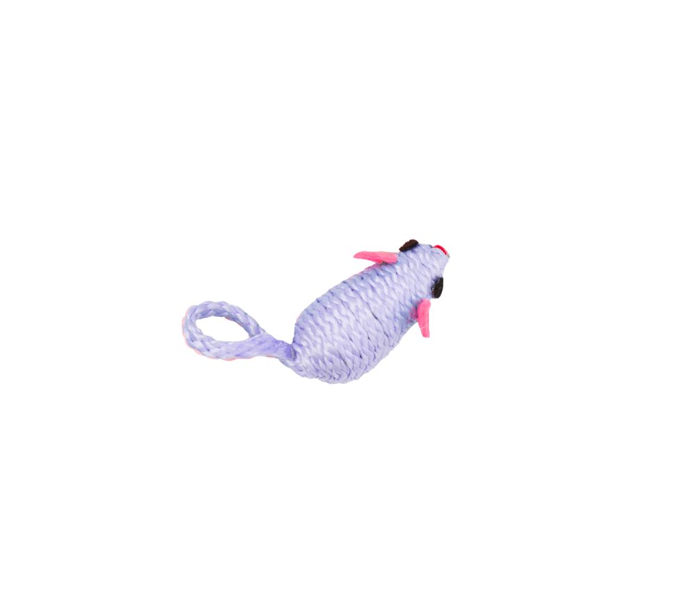 Mouse Chase Toy