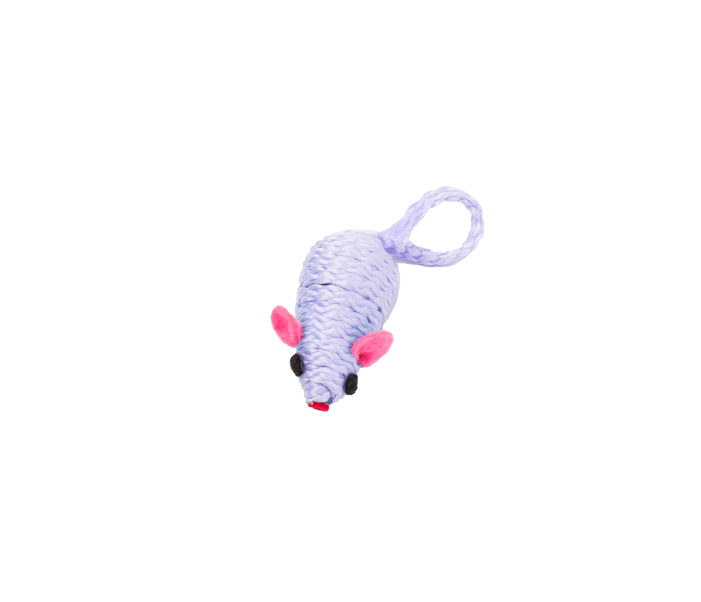 Mouse Chase Toy