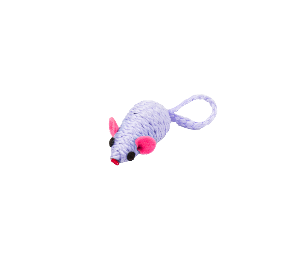 Mouse Chase Toy