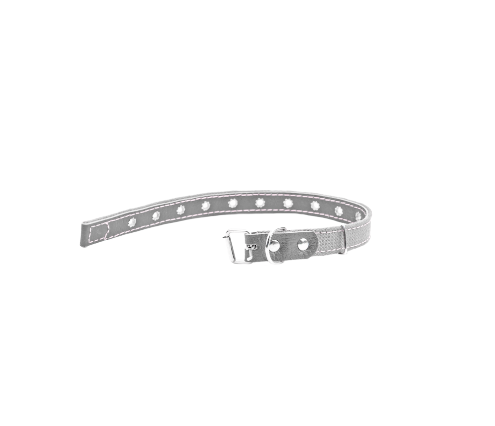 Adjustable Cat Collar