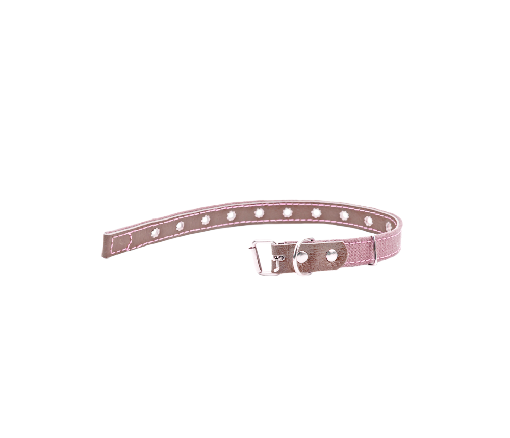 Adjustable Cat Collar
