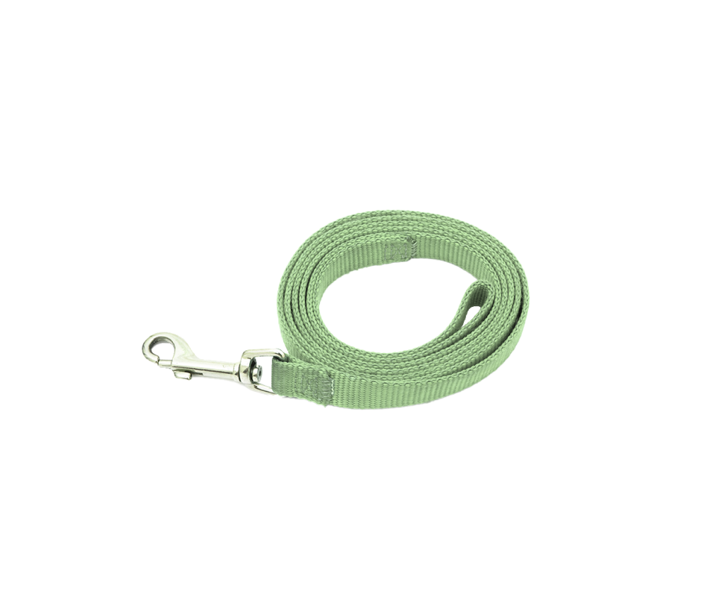 Adjustable Dog Leash