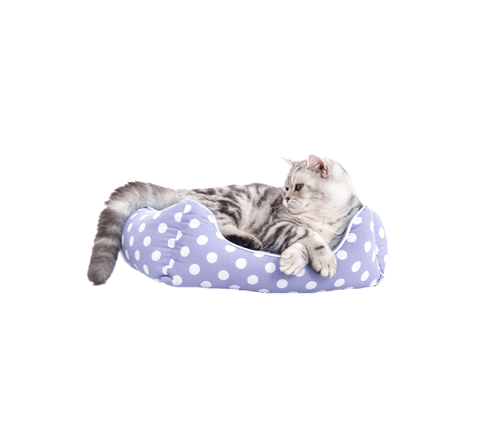 Polka Print Cat Bed