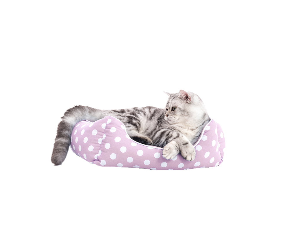 Polka Print Cat Bed