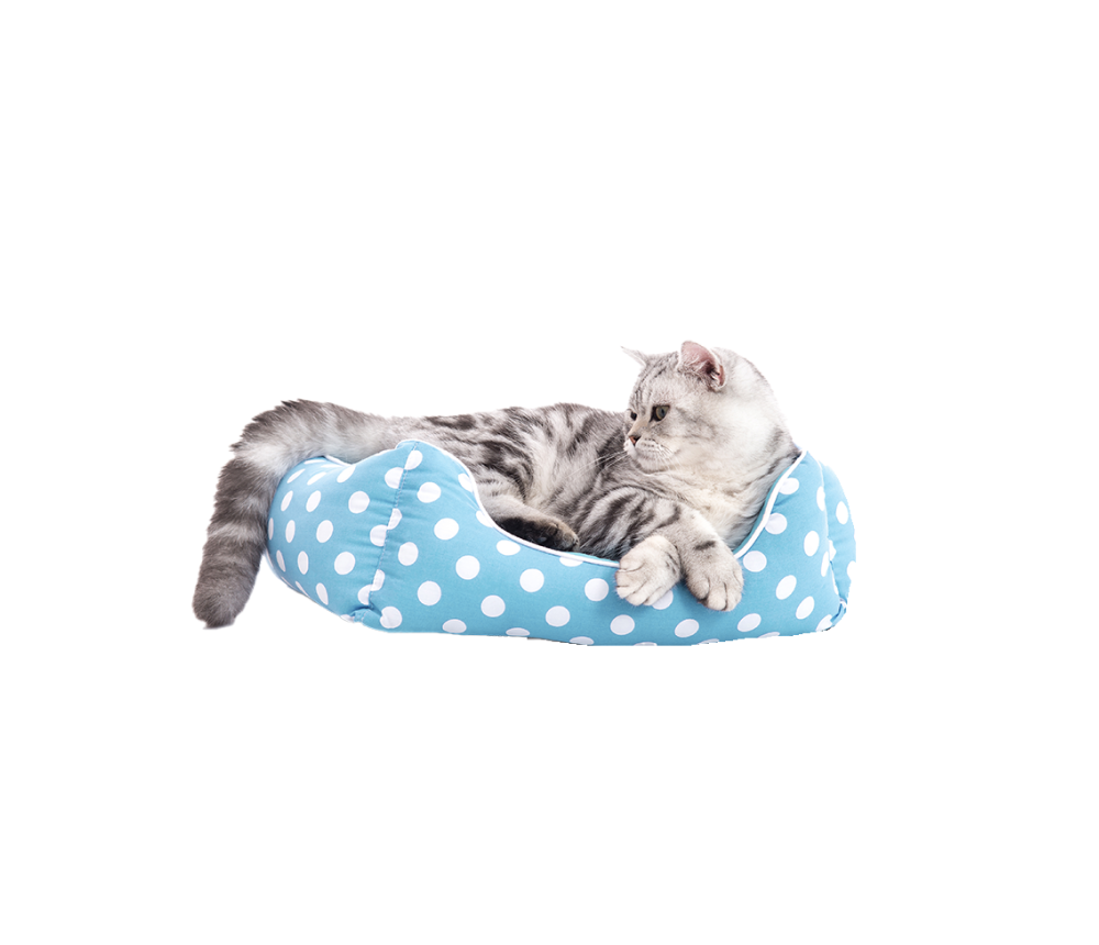 Polka Print Cat Bed