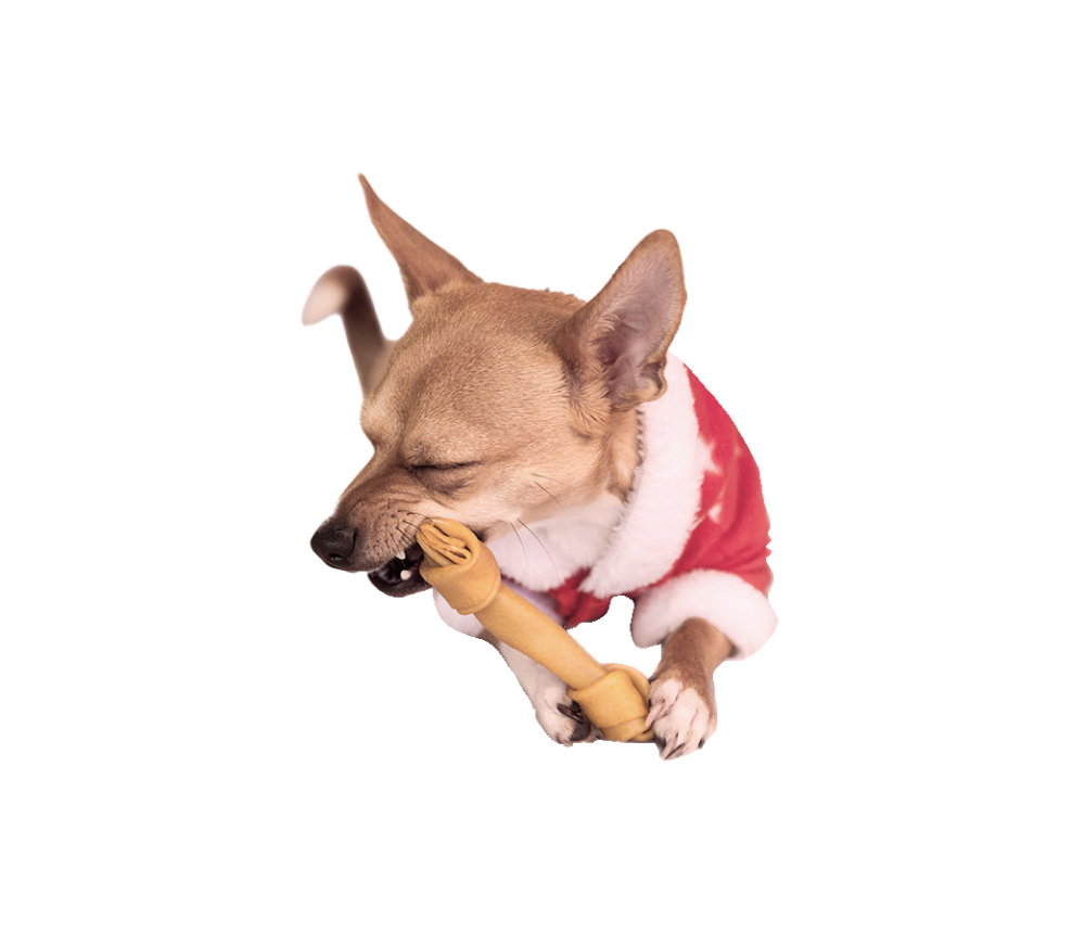 Dog Chrsitmas Chew Toy