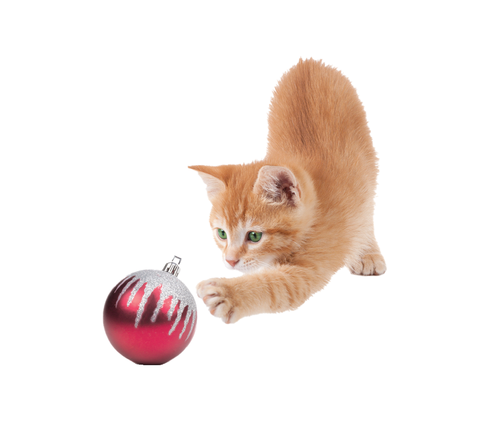 Cat Chrsitmas Ball