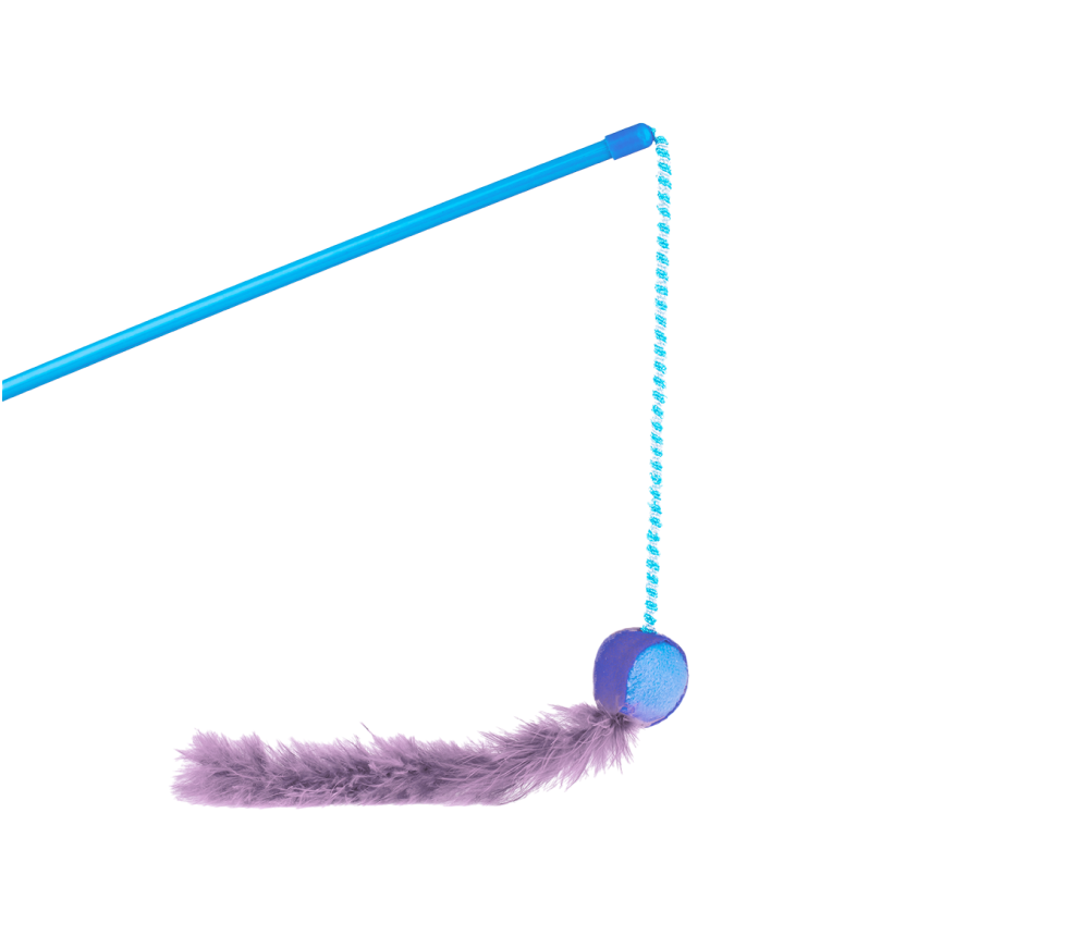 Feather Chase Toy