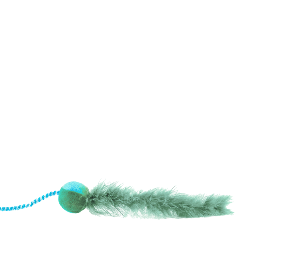 Feather Chase Toy