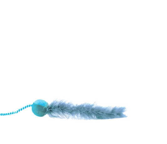 Feather Chase Toy